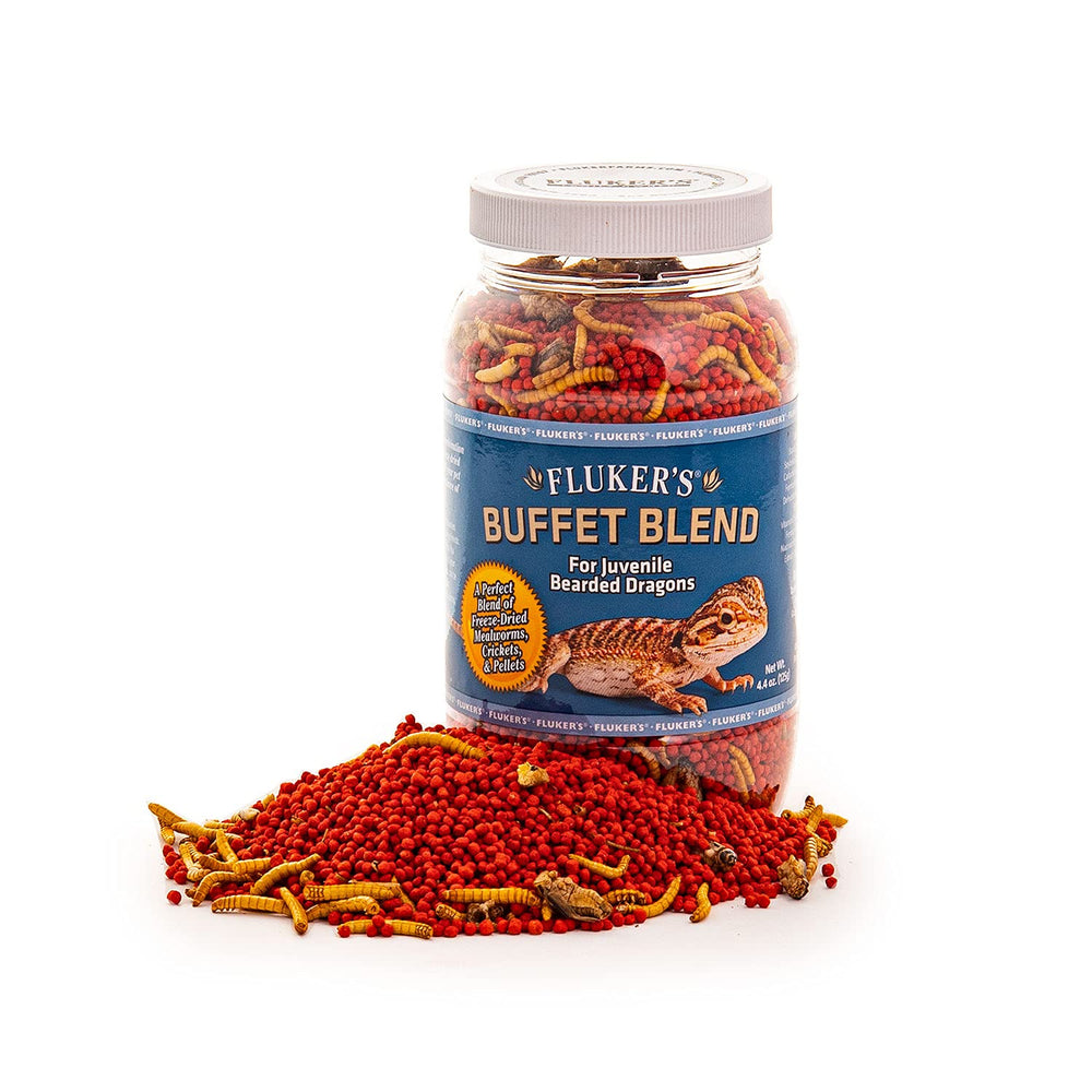 Fluker's Buffet Blend pour dragon barbu jeune, alimentation variée et équilibrée.