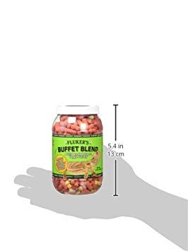 Fluker's Buffet Blend dragon barbu mange légumes — favorise la variété des apports.