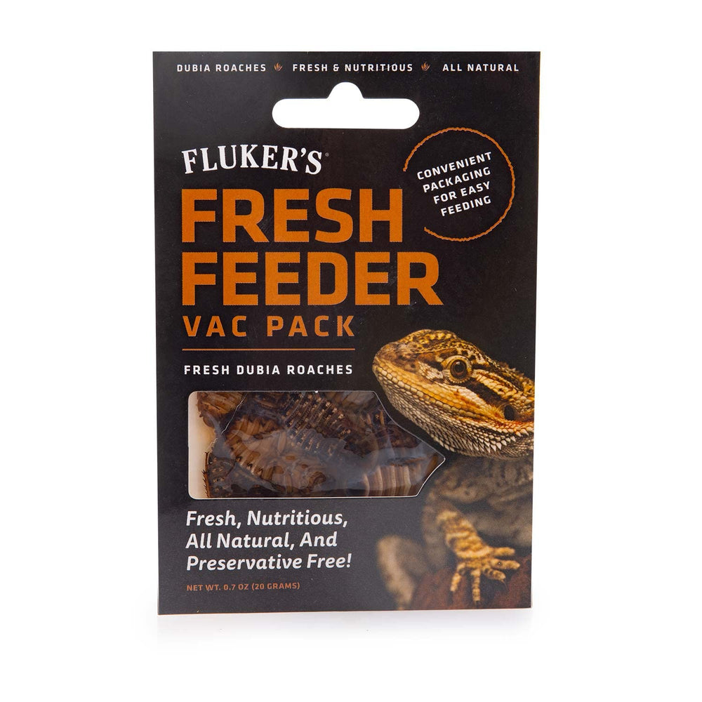 Fluker's cafards Dubia en sachet sous vide, source naturelle de protéines pour reptiles
