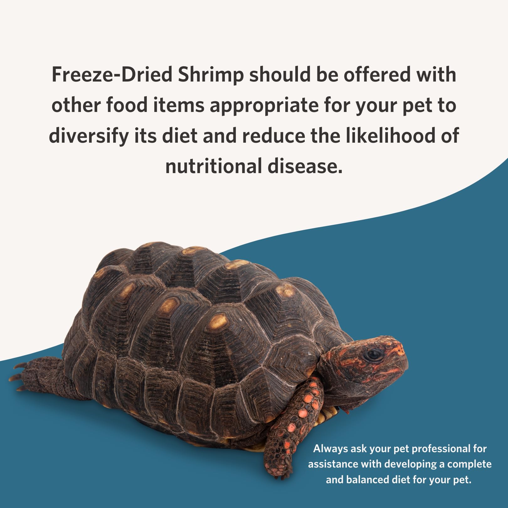 Fluker's crevettes de rivière lyophilisées nutrition complémentaire pour alimentation variée.