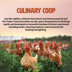 Snack polyvalent Fluker's Culinary Coop pour poules et reptiles.