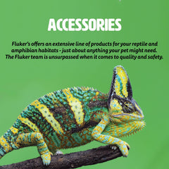 Fluker's Eco Clean zone de nettoyage dans le terrarium, propreté durable.