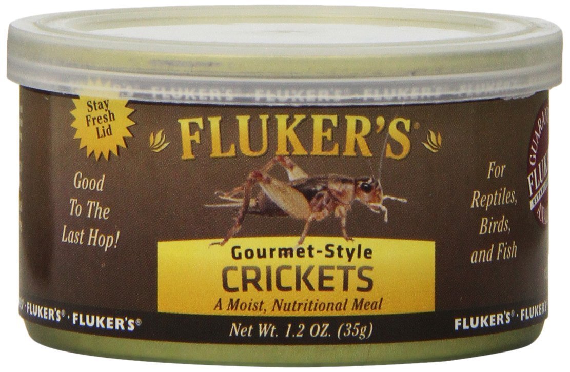 Fluker's Gourmet Conserve Reptiles — repas nutritif et pratique pour reptiles insectivores
