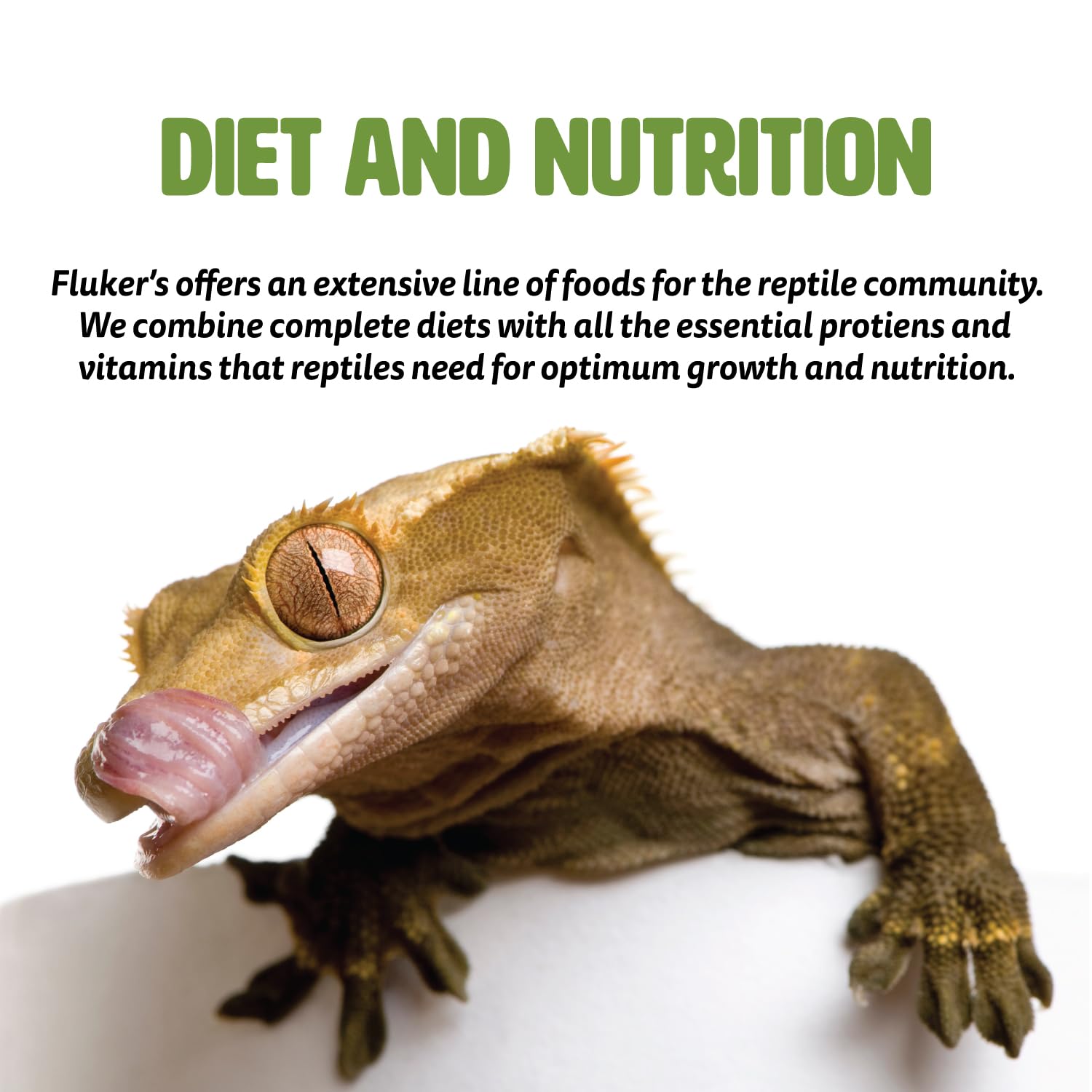 Fluker's Grillons lyophilisés, snack sûr et nutritif pour tortues et poissons tropicaux.