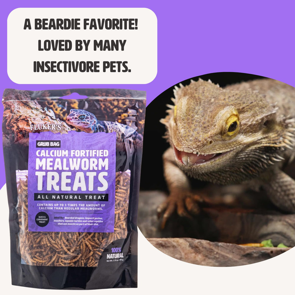 Alimentation aquatique adaptée avec Fluker’s Grub Bag.