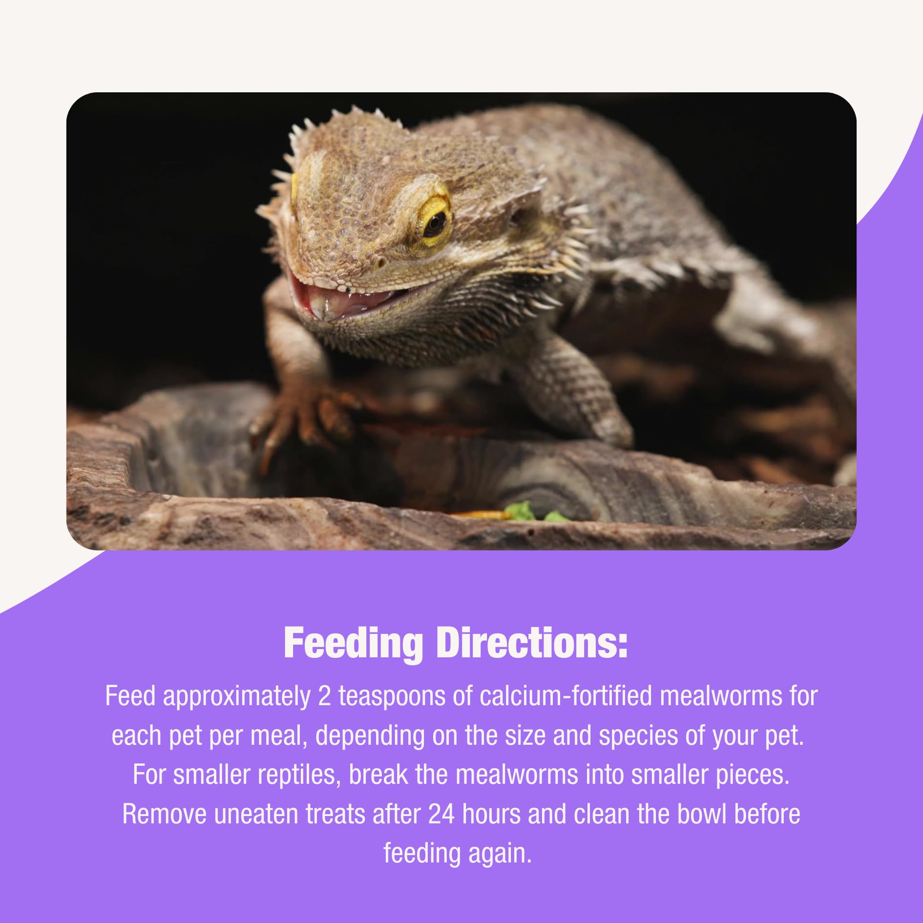 Alimentation reptile insectivore avec Fluker’s Grub Bag pratique.