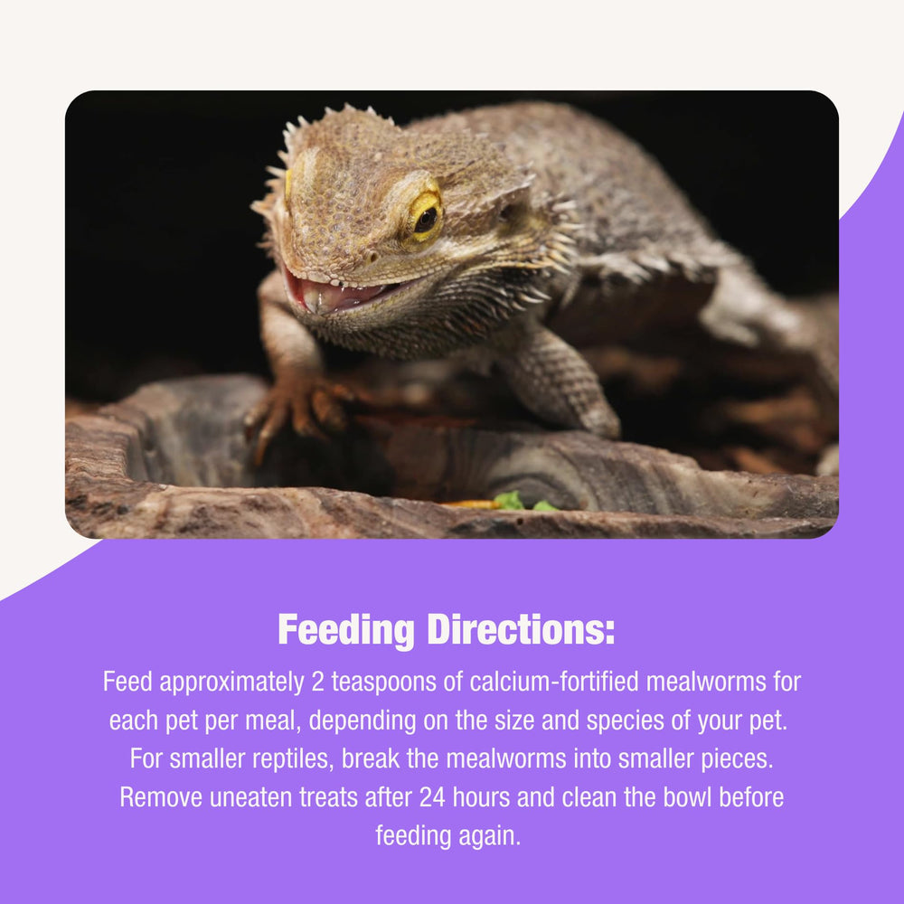 Alimentation reptile insectivore avec Fluker’s Grub Bag pratique.