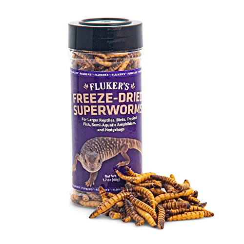 Fluker's lyophilisés superworms texture légère – manipulation simple et rapide.
