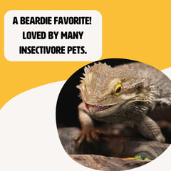 Fluker's mealworms lyophilisés dans un emballage clair facilitant le stockage.