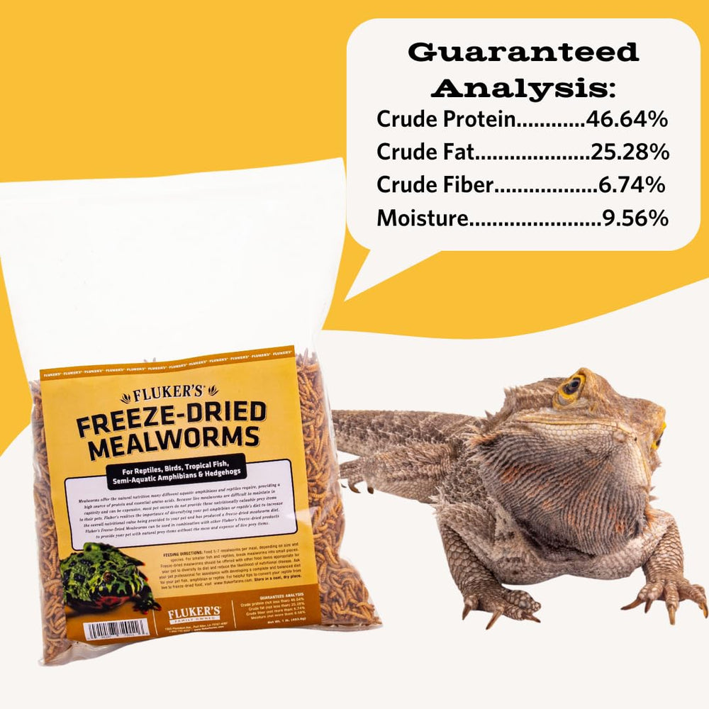 Fluker's mealworms lyophilisés, gros plan, montrant les vers prêts à l'emploi.