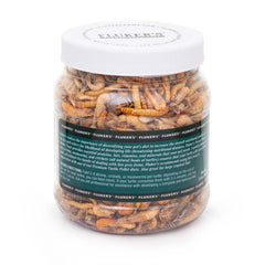 Fluker's Medley: crevettes de rivière et insectes lyophilisés, source de protéines.