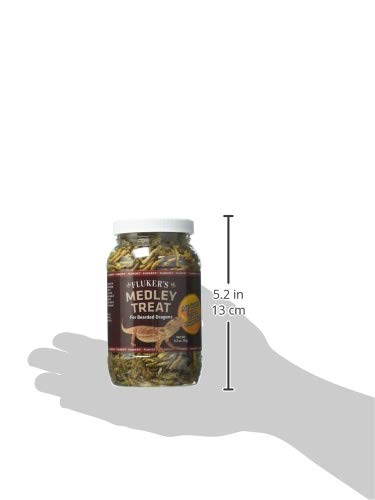 Étiquette vitaminée indiquant protéines et minéraux pour Fluker's Mélange Dragon Barbu
