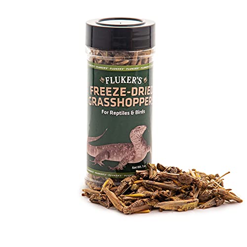 Fluker's sautérilles lyophilisées prêtes à servir dans un bol.