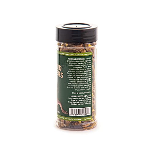 Friandise pratique pour hérisson avec Fluker's sautérilles lyophilisées.