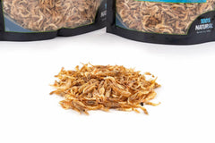 Fluker's Grub Bag – usage-quotidien-tortues-terrestres, pratique sans réfrigération.