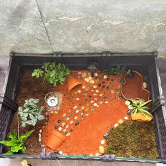 Flushbay décoration aquarium naturel-brun embellissant l'habitat du reptile.