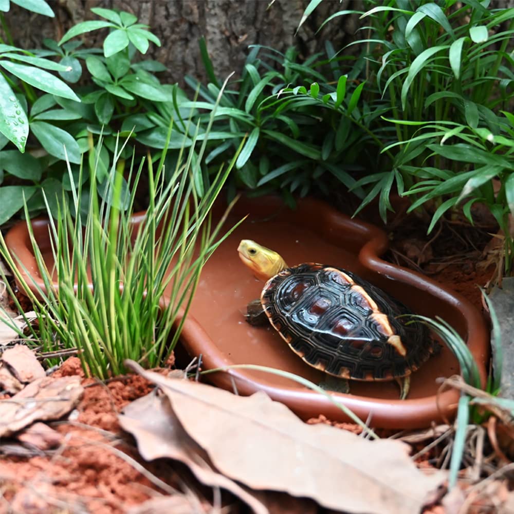 Flushbay nettoyage-facile: entretien rapide du bol reptile.