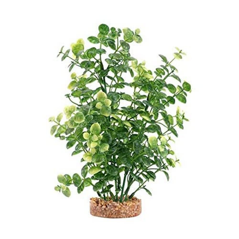 Fluval Aqualife Bacopa verte, plante artificielle pour aquarium, aspect réaliste et entretien facile.