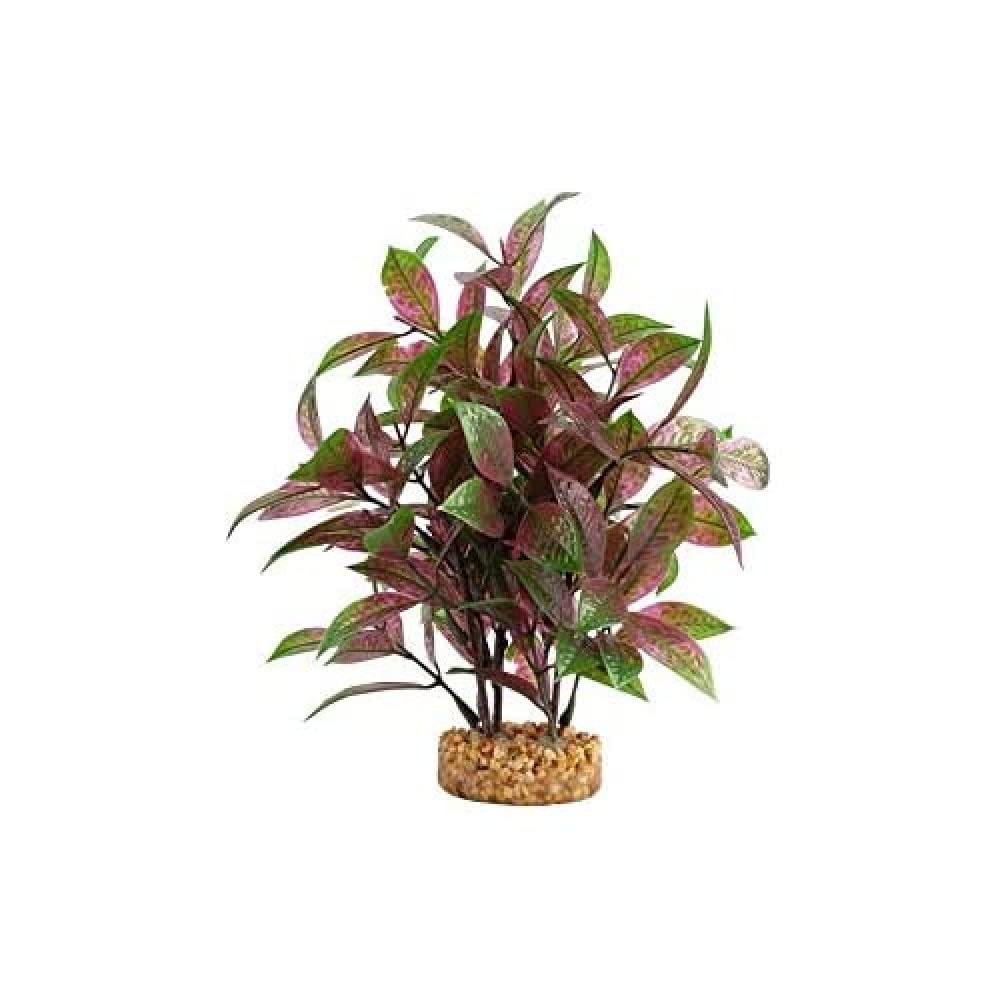 Fluval Aqualife Ludwigia rouge à feuilles larges, décor réaliste et durable pour aquarium