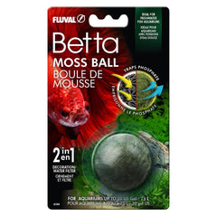 Fluval Betta boule de mousse : décor vivant et réduction potentielle des phosphates.