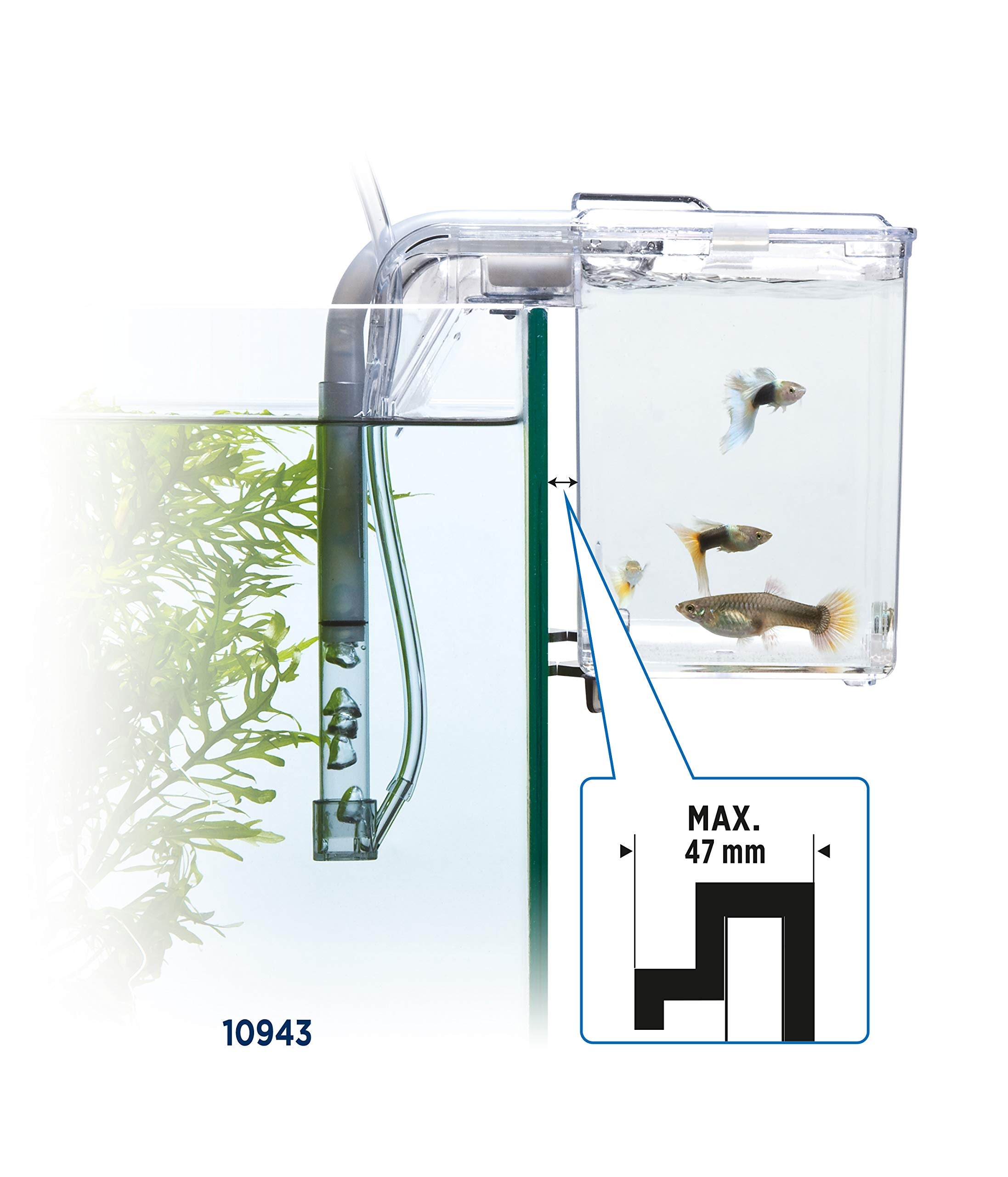 Fluval acclimatation par circulation d’eau identique sans chauffage supplémentaire.