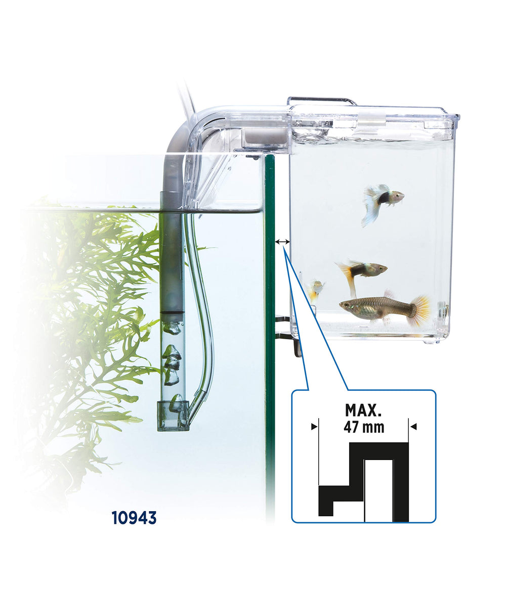 Fluval acclimatation par circulation d’eau identique sans chauffage supplémentaire.