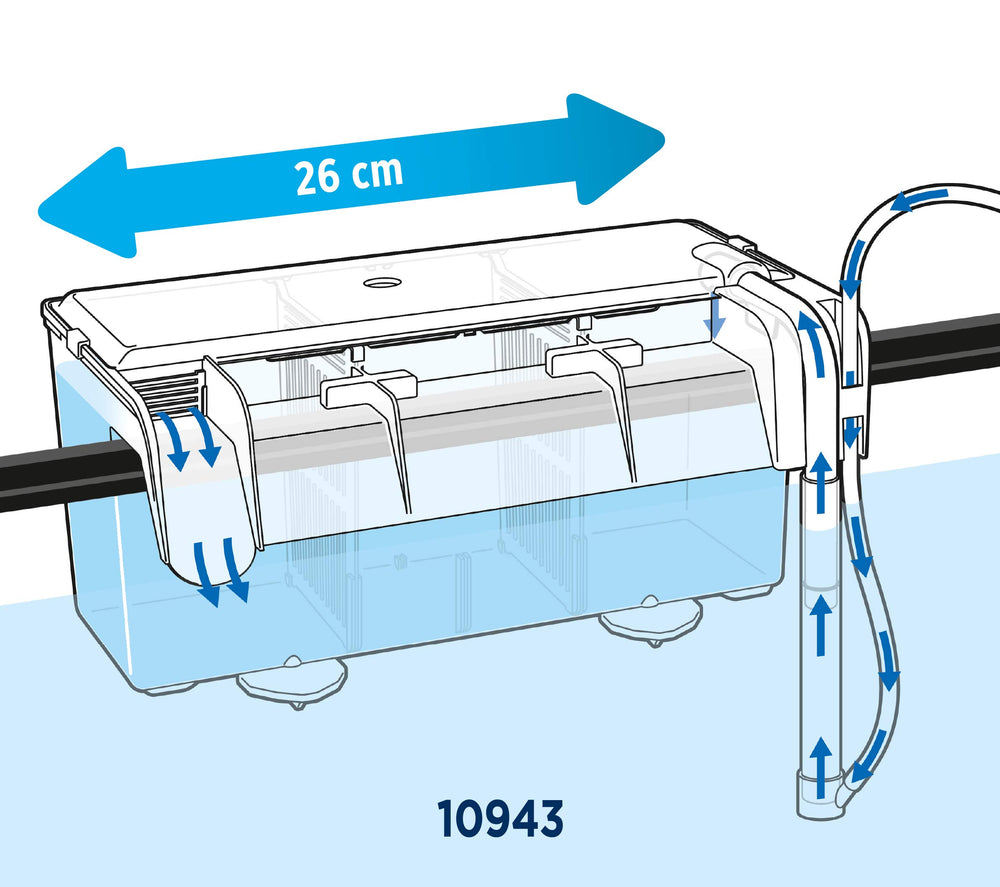 Fluval observation extérieure facilitant la surveillance des poissons sans déranger le bac.