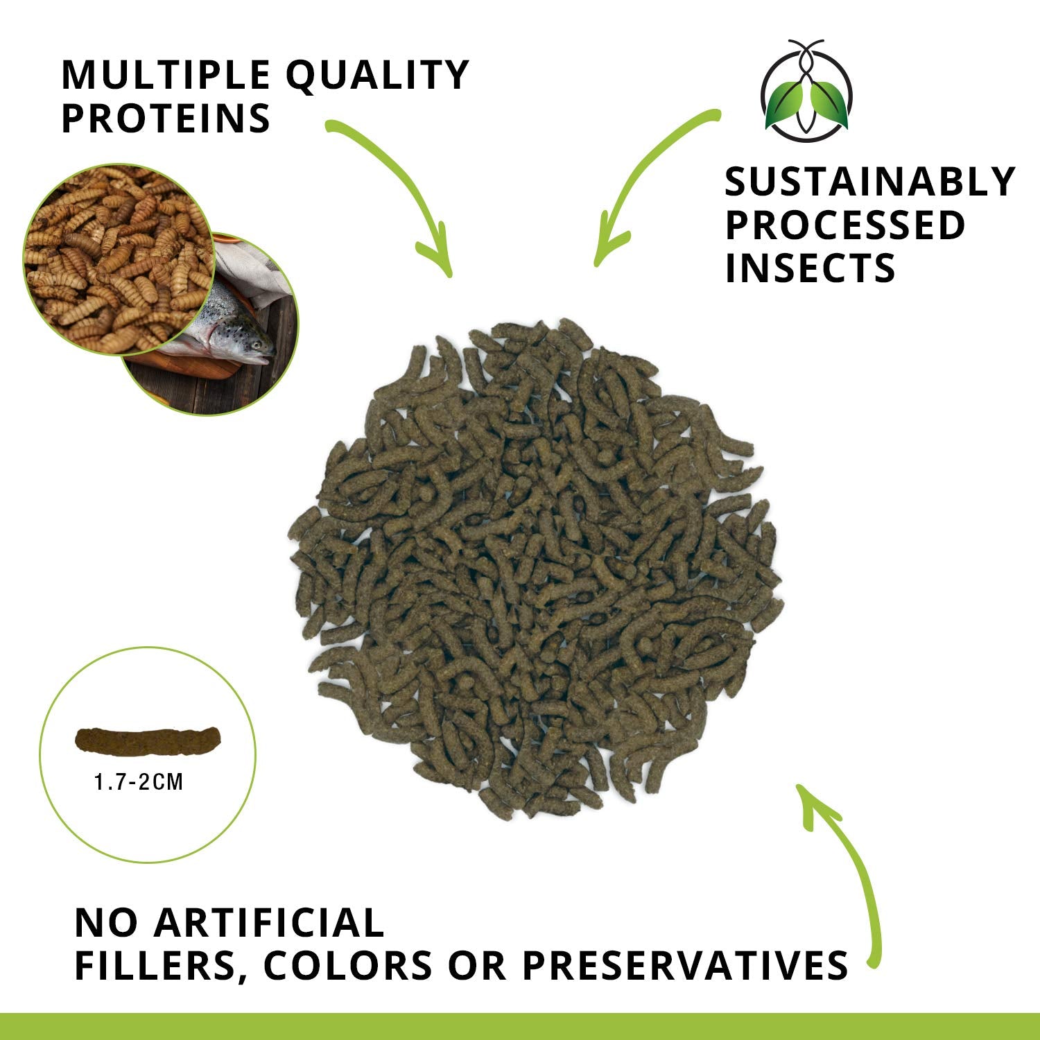 Fluval Bug Bites – larves de mouche soldat noire, protéine naturelle pour les poissons.