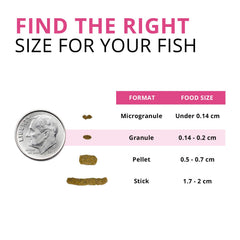 Fluval Bug Bites larves de mouche soldat noire utilisées comme source protéique.