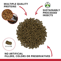 Pellets Fluval Bug Bites 5-7 mm, faciles à prendre pour les poissons.