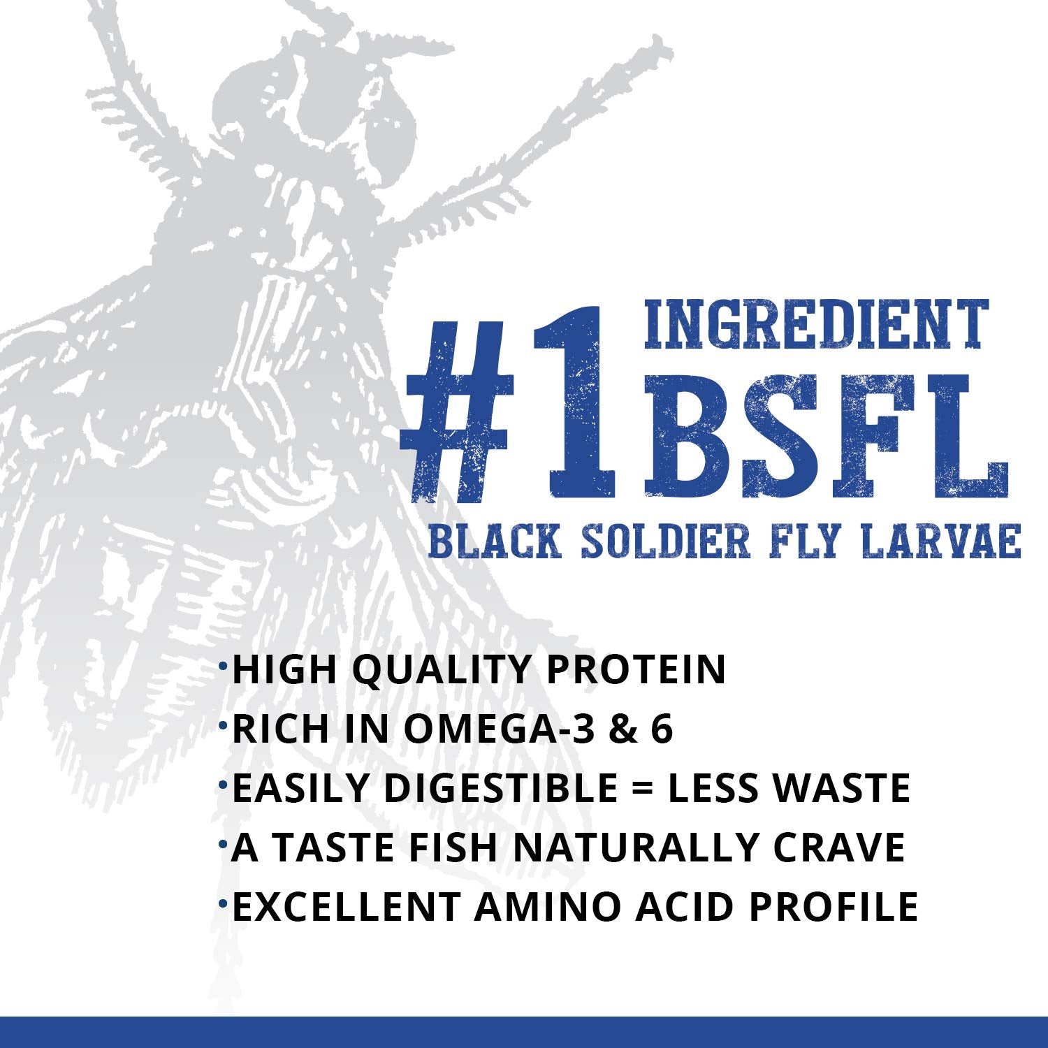 Protéines issues de larves noires dans Fluval Bug Bites.