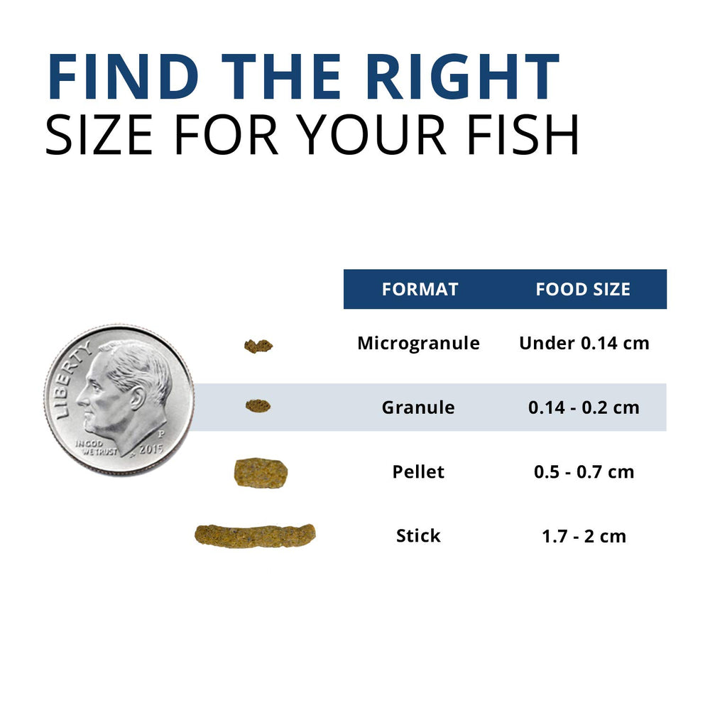 Fluval Bug Bites: protéines Omega-3 et Omega-6 pour peau et couleurs éclatantes.