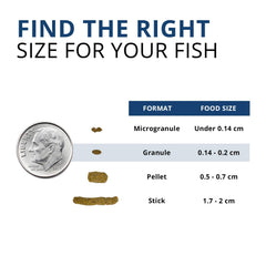 Fluval Bug Bites: protéines Omega-3 et Omega-6 pour peau et couleurs éclatantes.