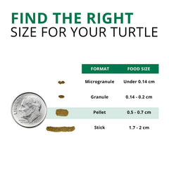 Fluval Bug Bites pour tortue: omega3 pour peau et couleurs éclatantes.