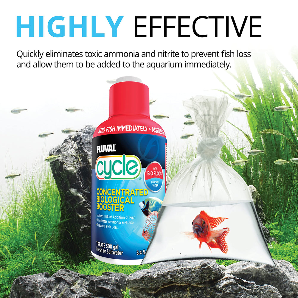 Fluval Cycle – demonstration des micro-organismes benefiques en milieu aquatique