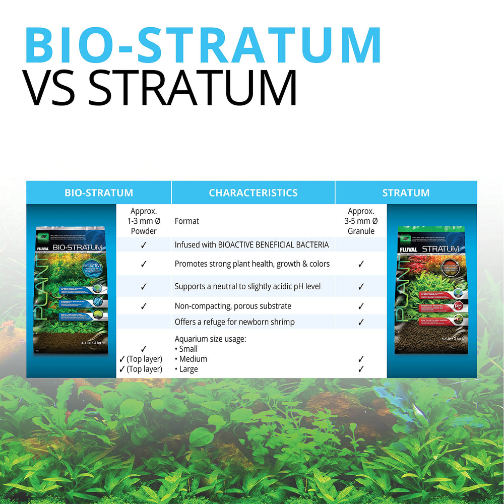 Fluval Stratum offre une structure poreuse propice à la colonisation biologique.