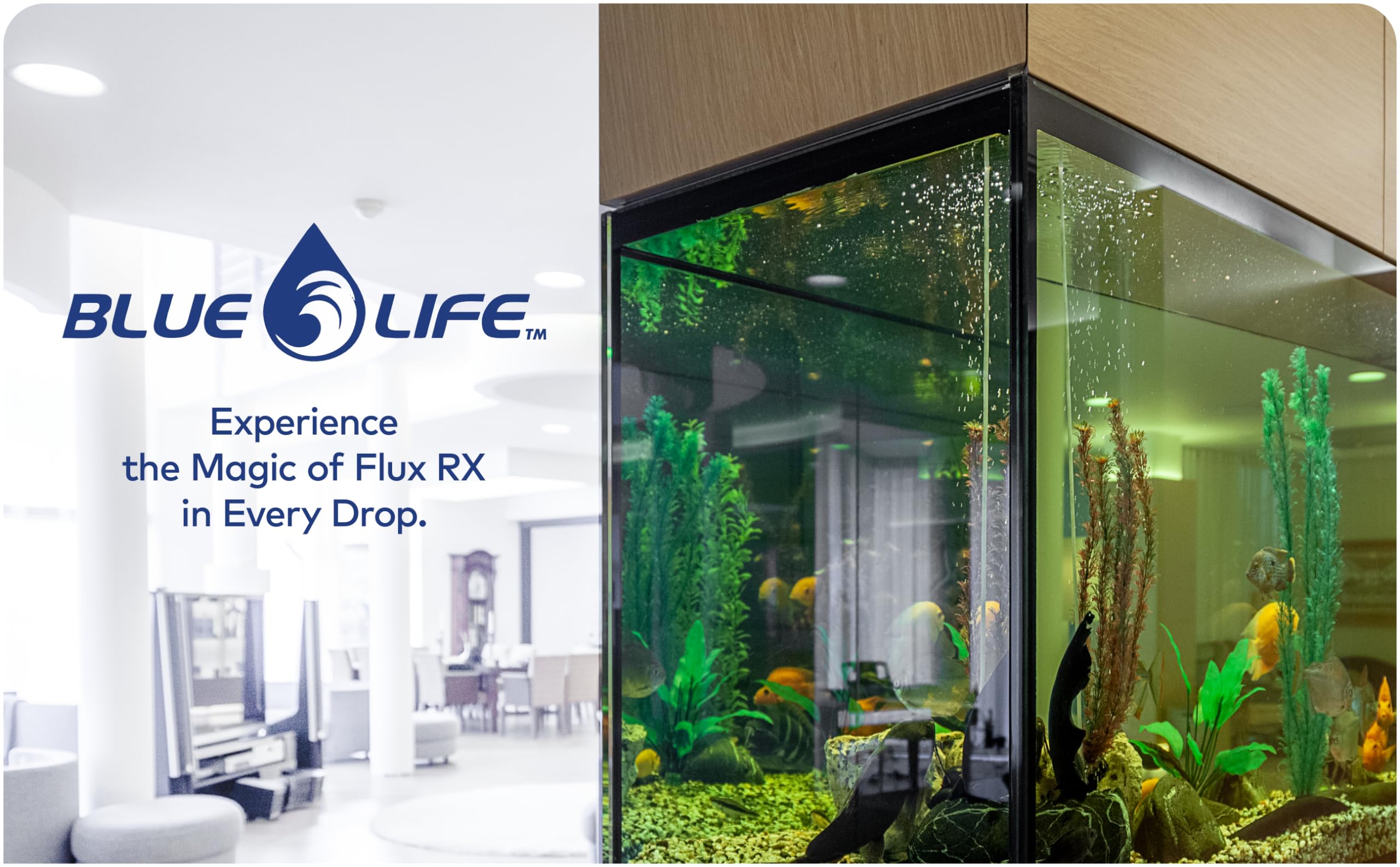 Flux RX 7000mg eau claire dans l'aquarium