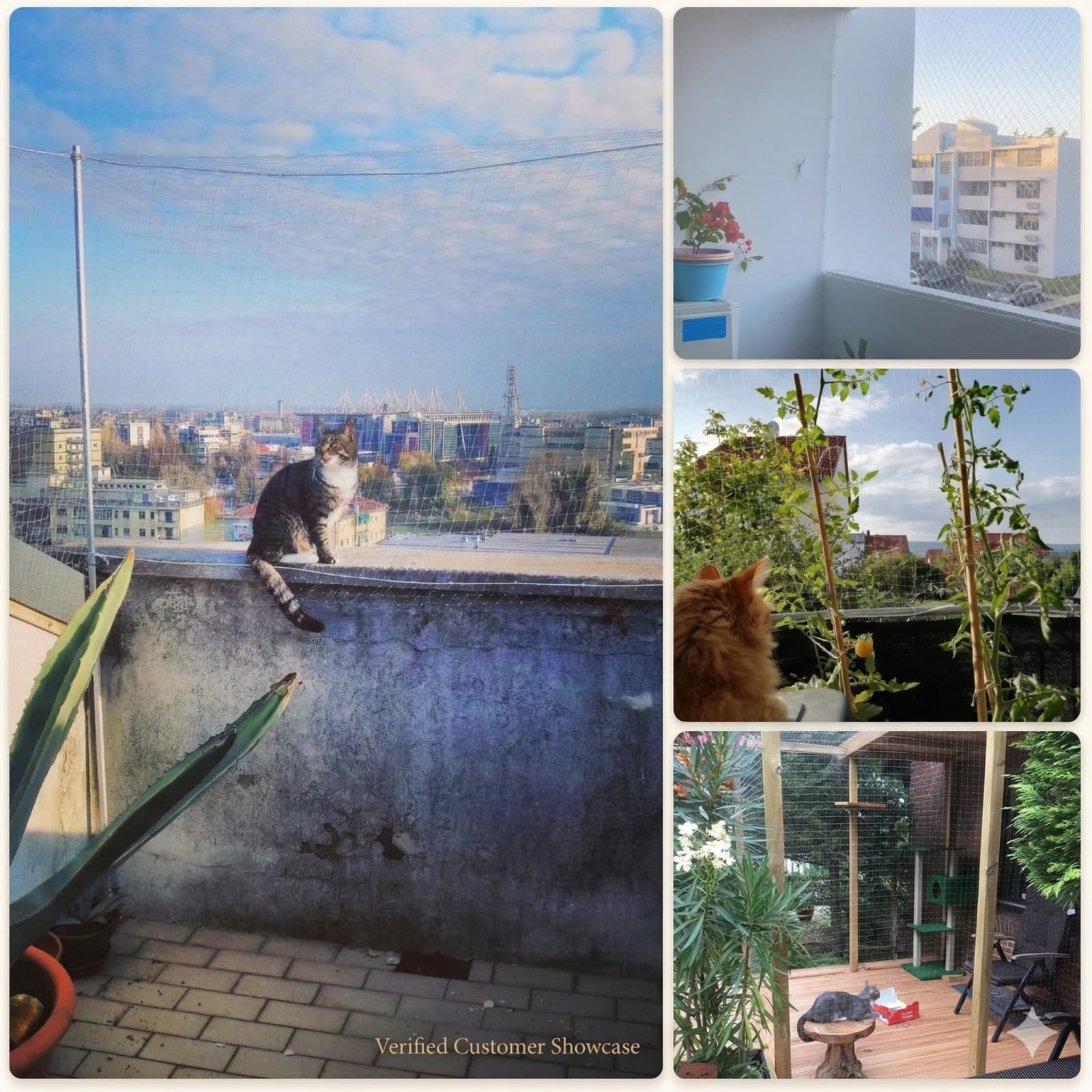 Fluxionova filet chat catio lumineux: créer un espace chat extérieur facile à monter.