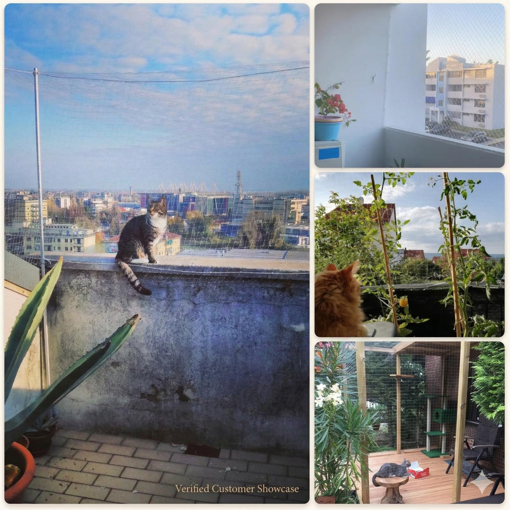Fluxionova filet chat catio lumineux: créer un espace chat extérieur facile à monter.