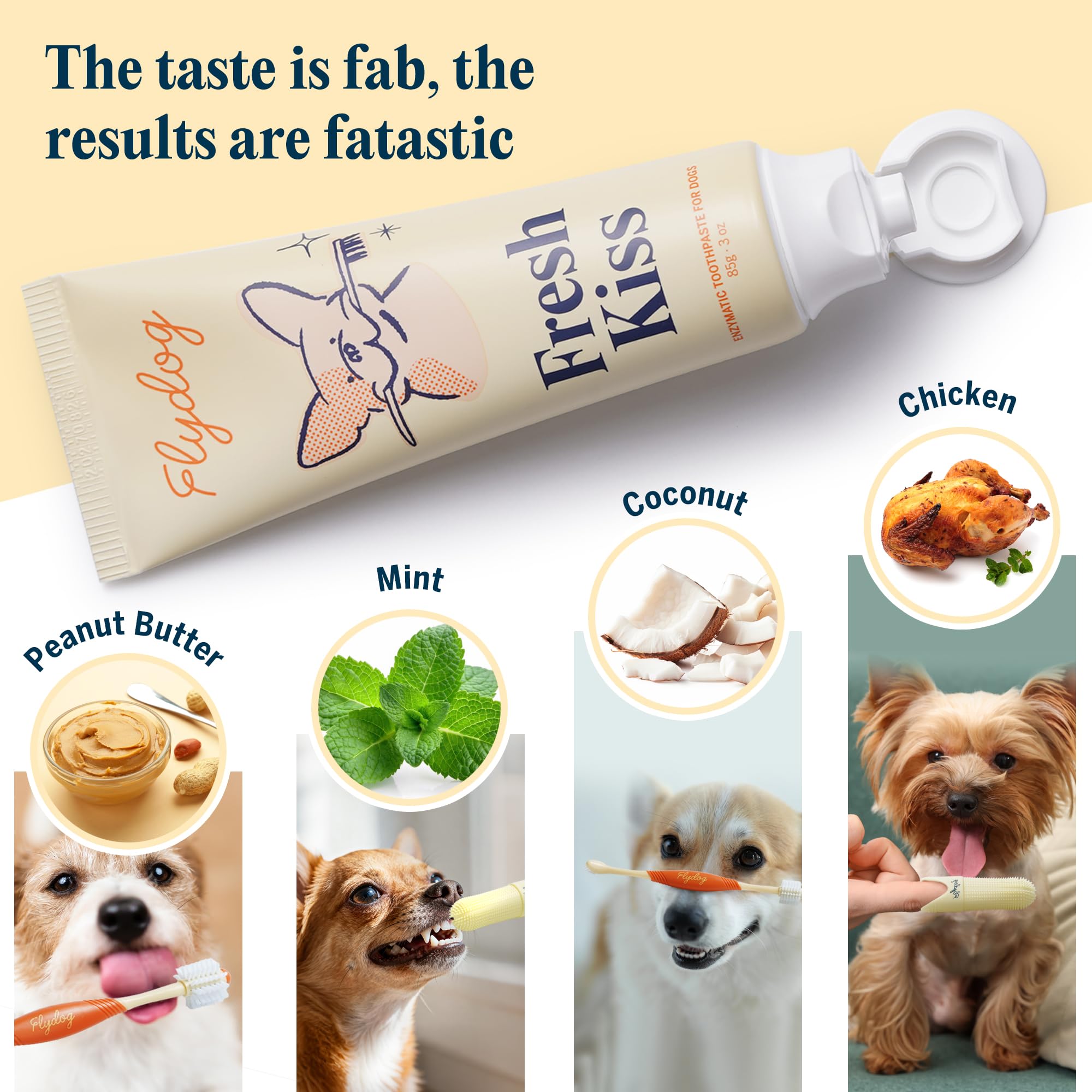 FlyDog Fresh Kiss : chien détendu lors du brossage avec une brosse 360°.