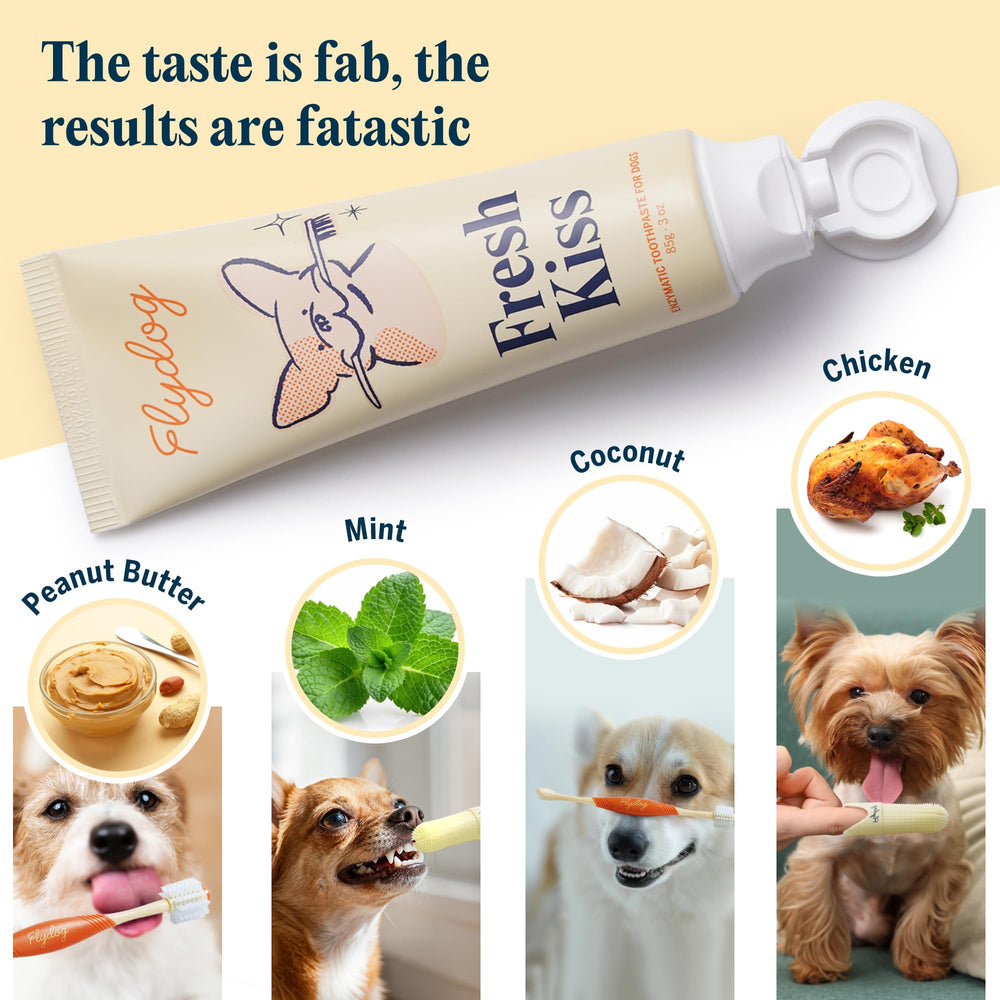 FlyDog Fresh Kiss guide brossage dents, étape claire pour les propriétaires.