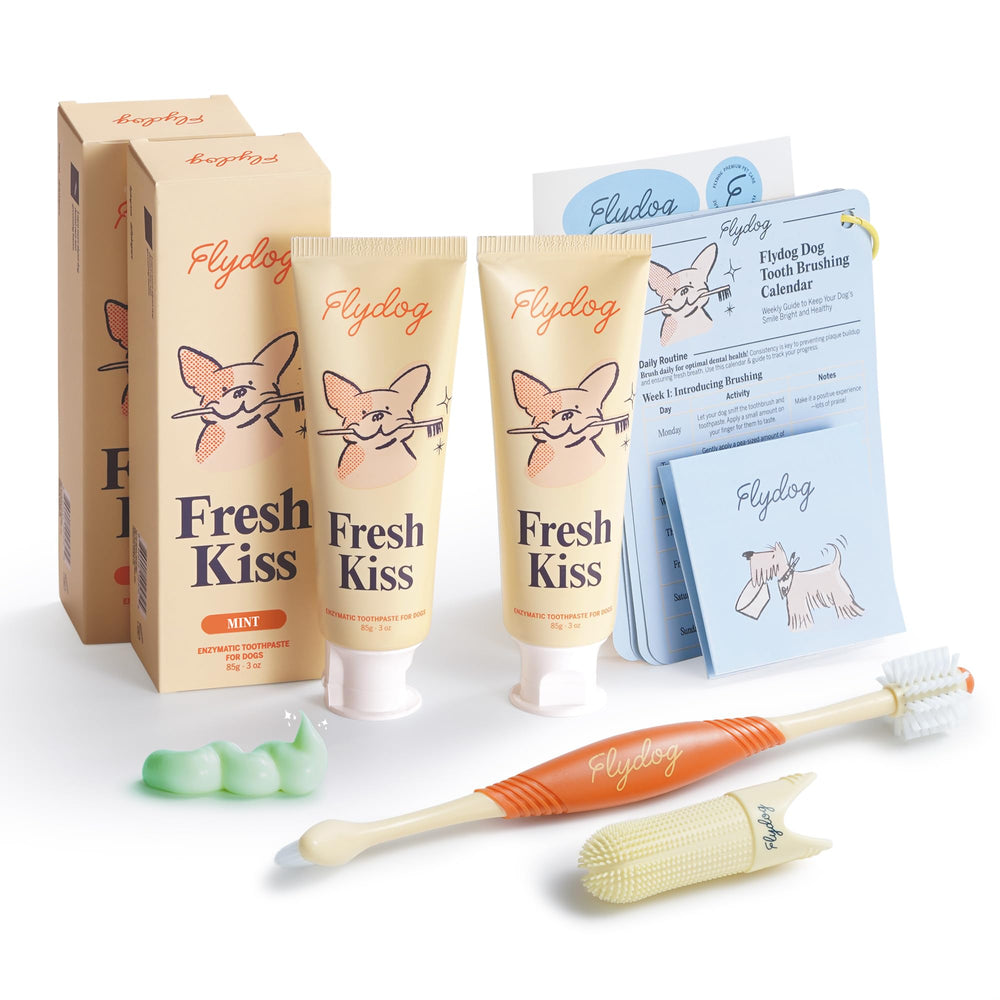 FlyDog Fresh Kiss kit brossage dents 360, pour un brossage efficace.