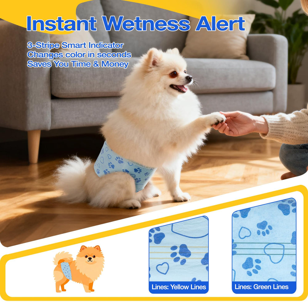 Bande jetable Flying Paws pour chien mâle, absorption efficace et réduction des fuites.