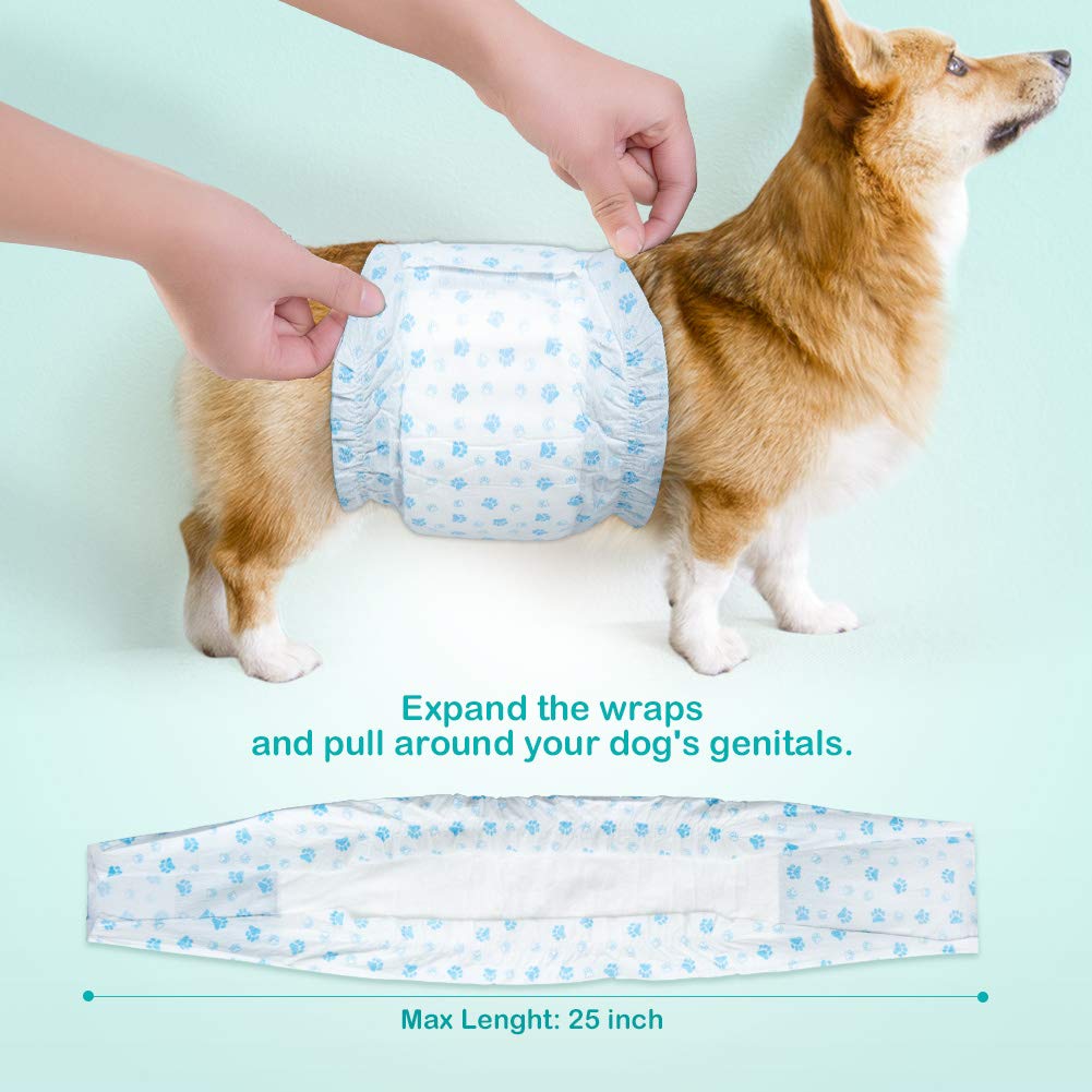 Flying Paws noyau absorbant pour chien mâle, absorption renforcée et liberté de mouvement