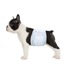 Flying Paws Couche Male Chien Absorbante: confort et protection contre les fuites pendant la journée.