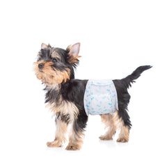 Couches absorbantes Flying Paws pour chien mâle, protection contre les fuites quotidiennes.