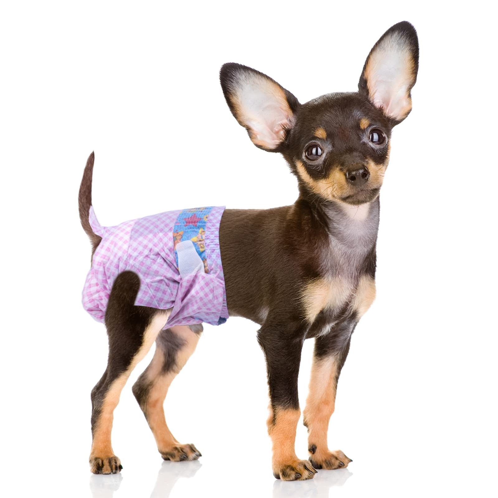 Couches Flying Paws pour chien femelle XS-40: confort et protection au quotidien