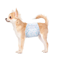 Flying Paws couches pour chien mâle, absorbantes, pour confort et absorption
