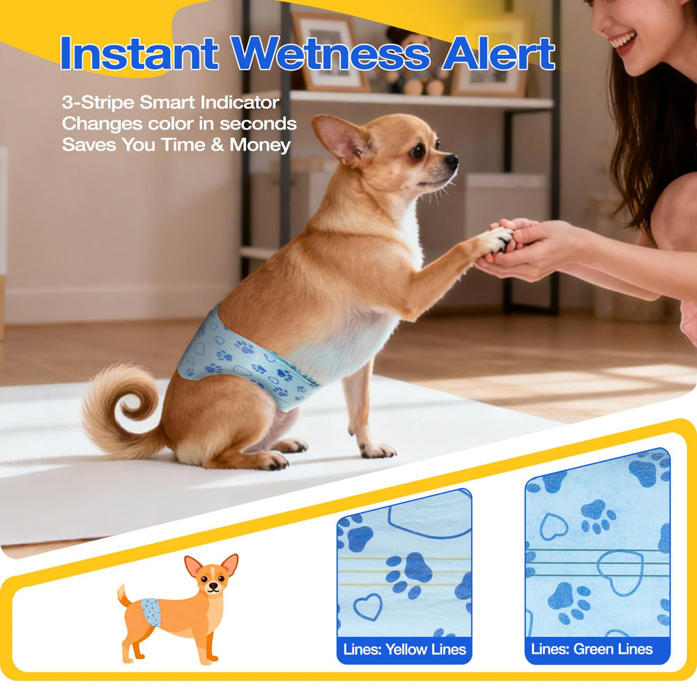 Couches Flying Paws pour chien mâle cœur absorbant retient l urine efficacement