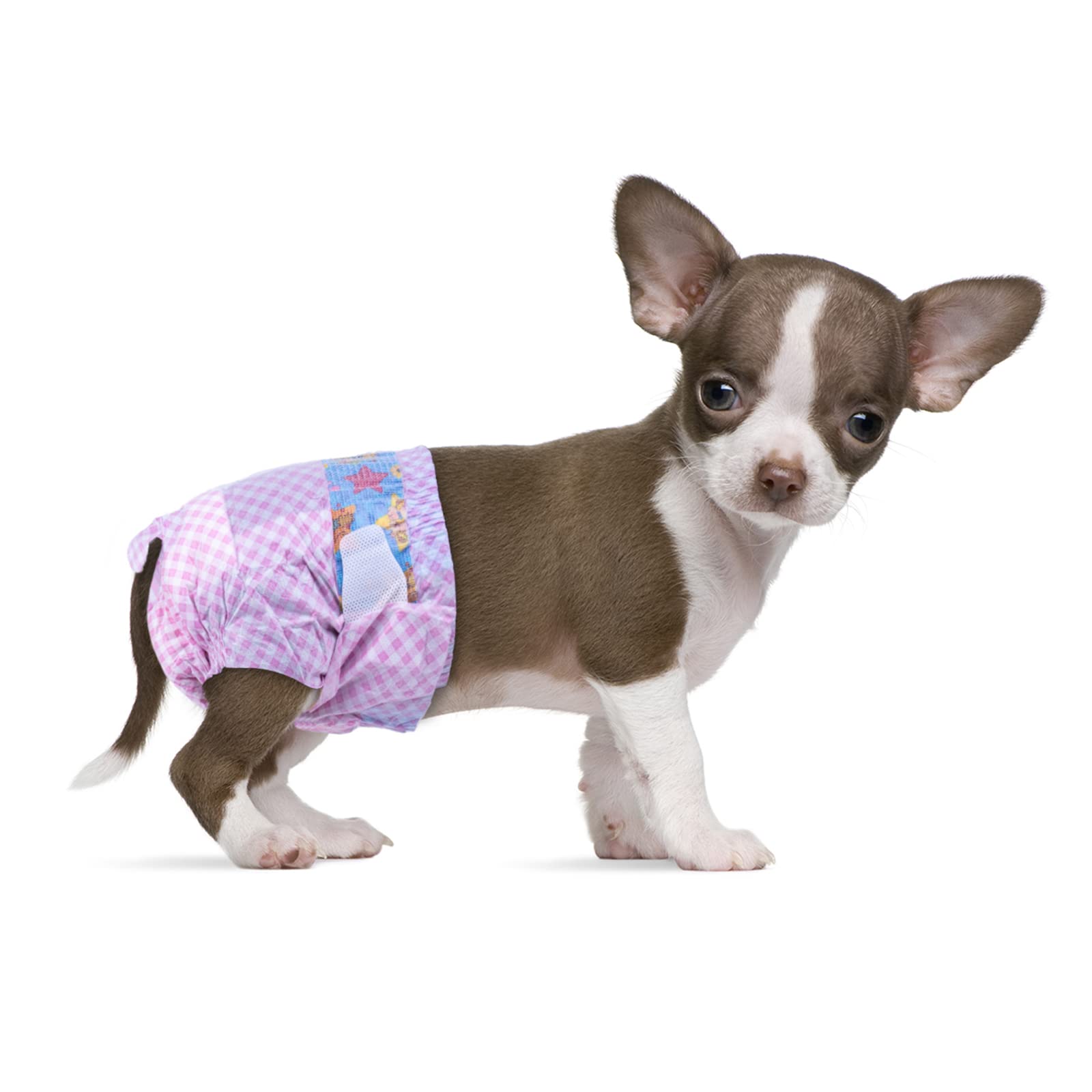 Couches Flying Paws XXS en packshot pour une protection pratique lors des déplacements